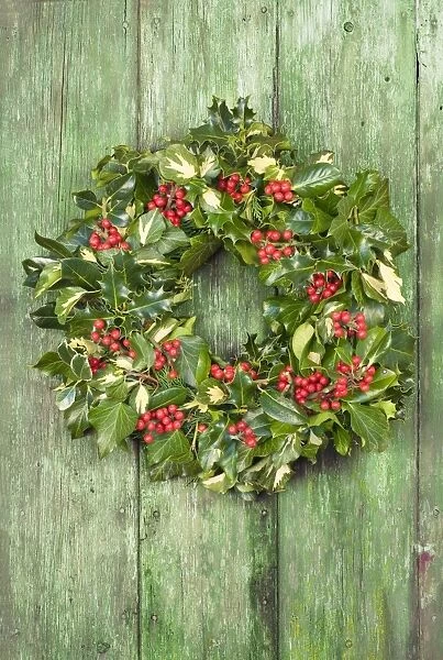 Christmas Wreath on old wooden door Digitla Manipulation: turned door green