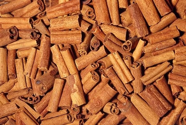 Cinnamon Sticks - dried bark Native to Southern China, India