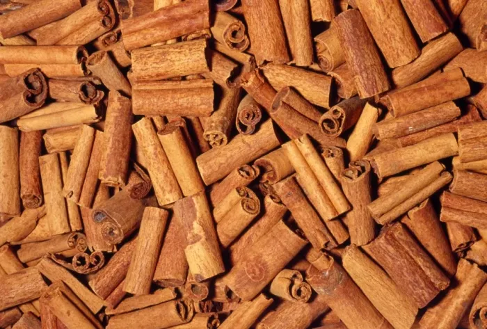 Framed Print : Cinnamon Sticks - dried bark Native to Southern China, India Framed Print : Cinnamon Sticks - dried bark Native to Southern China, India