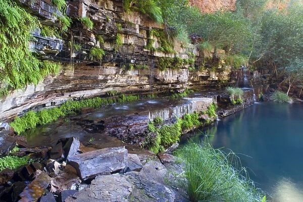 Circular Pool - water cascades down a steep, heavily with fern covered, terraced canyon wall into picturesque Circular Pool. This pool is an oasis in the very dry and arid Pilbara region and the cool