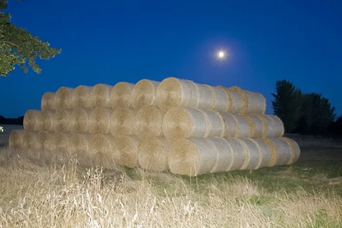 Framed Print : Circular Straw bales - under Moonlight - Norfolk - UK Framed Print : Circular Straw bales - under Moonlight - Norfolk - UK