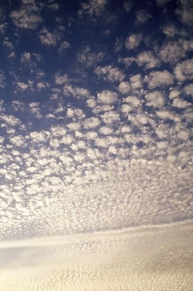 Cirrocumulus Clouds - mackerel sky