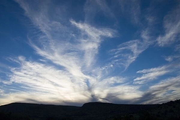 Cirrus uncinus clouds in evening. Caused by cold front moving inland, heralding the approach of unsettled weather. Mountain Zebra National Park, Eastern Cape, South Africa