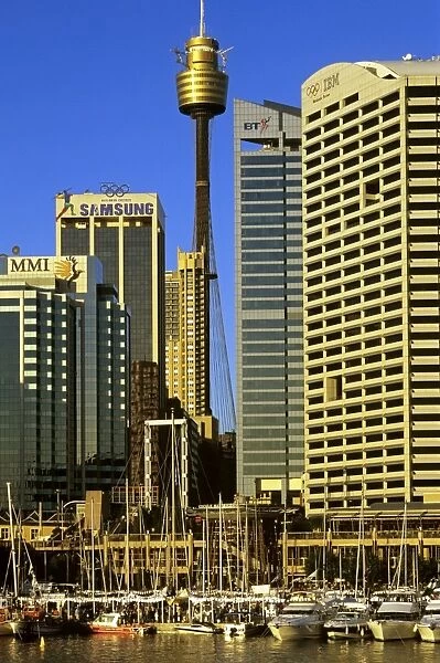 City and Sydney Tower - Centrepoint - from Darling Harbour, Sydney, New South Wales, Australia JPF50318