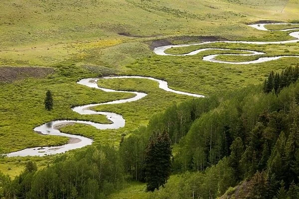Classic meanders on East River, in Grand Mesa- Uncompahgre Gunnison National Forest, Crested Butte, The Rockies, Colorado, USA, North America