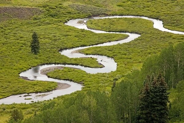 Classic meanders on East River, in Grand Mesa - Uncompahgre Gunnison National Forest, Crested Butte, The Rockies, Colorado, USA, North America