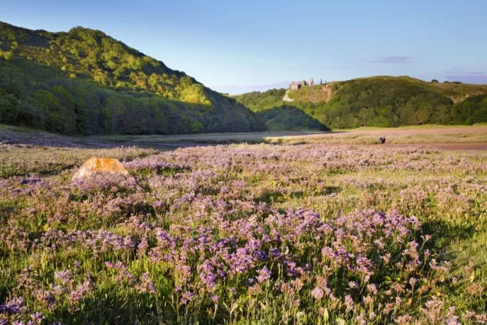 Framed Print : Three Cliffs Bay - Pennard Castle - Gower - Wales - UK Framed Print : Three Cliffs Bay - Pennard Castle - Gower - Wales - UK