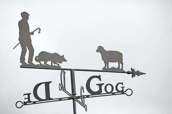 Close up of ornamental Welsh weather vane with shepherd sheep dog and sheep against plain sky UK