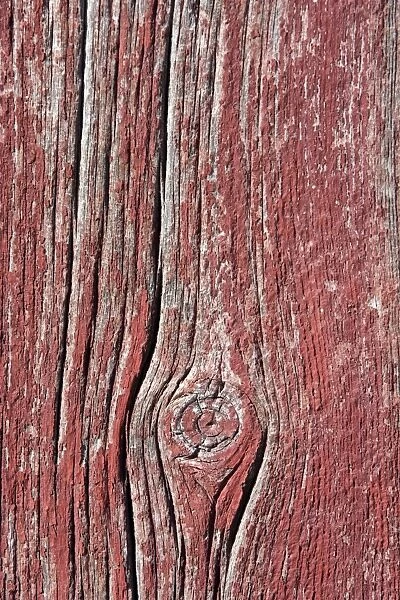 Close-up of plank of wood with knot. Ponderosa Ranch - Seneca - Oregon - USA