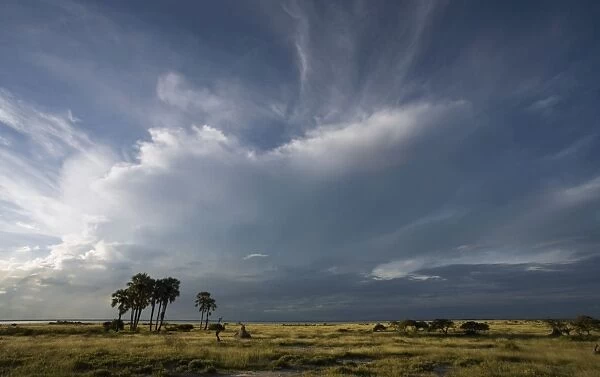 Cloud formation near Namutoni Rest Camp. Etosha National Park Namibia, Africa