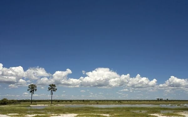 Clouds on the horizon near Twee Palme'. Etosha National Park, Namibia. Africa