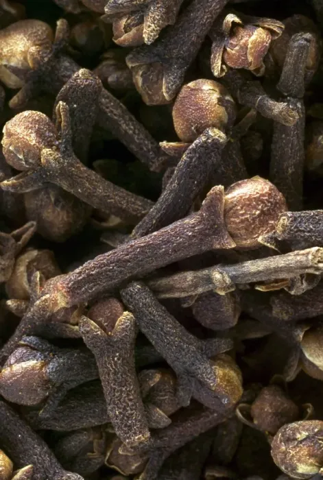 Framed Print : Cloves. LA-796. Cloves. Jean Michel Labat Framed Print : Cloves. LA-796. Cloves. Jean Michel Labat