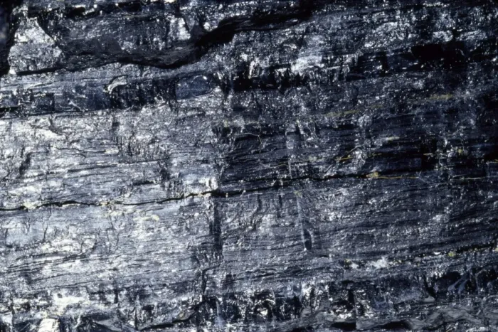 Framed Print : Coal - soft var. Bituminous. Carboniaed vegetable matter Framed Print : Coal - soft var. Bituminous. Carboniaed vegetable matter