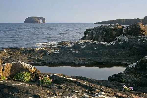 Coastal Scenery basalt cliffs and rock arch Dore Holm Northmavine, North Mainland, Shetland Isles, Scotland, UK