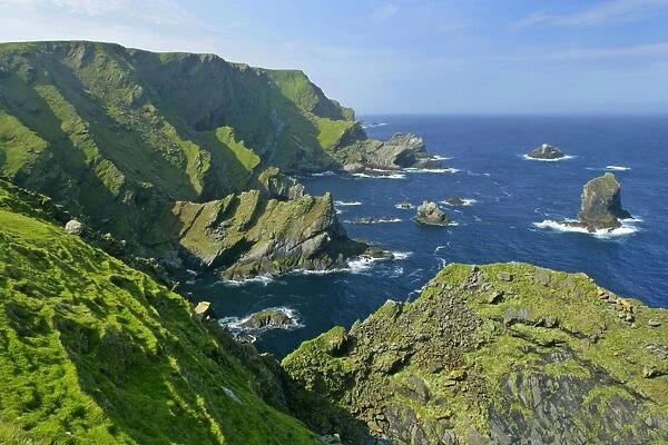 Coastal Scenery steep, jagged cliffs and sea stacks of Hermaness Nature Reserve Unst, Shetland Isles, Scotland, UK