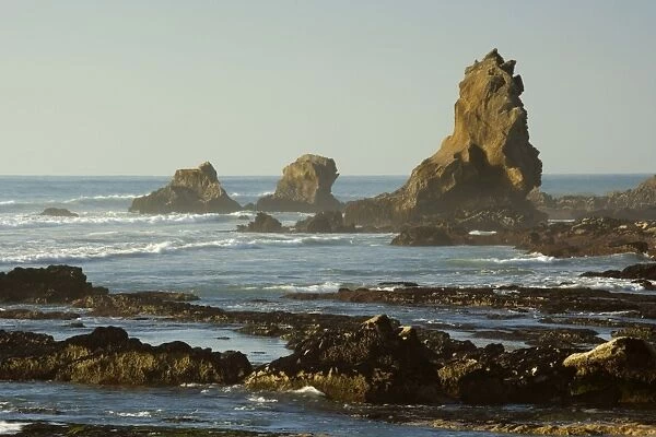 Coastline rock formations ragged sea stacks and rock formations at the coastline just north of Punakaiki Paparoa National Park, West Coast, South Island, New Zealand
