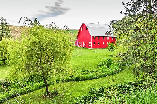 Colfax, Washington State, USA. A red barn on a farm in the Palouse hills. (Editorial Use Only) Date: 22-05-2021