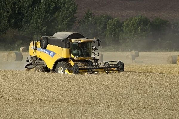 Combine Harvester cutting wheat - September - Staffordshire - England