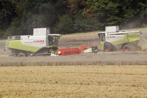 Combine Harvester - two harvesting corn - Lower Saxony - Germany