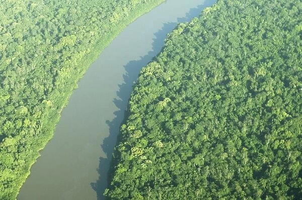 Coppename River and Rainforest Central Suriname Nature Reserve South America