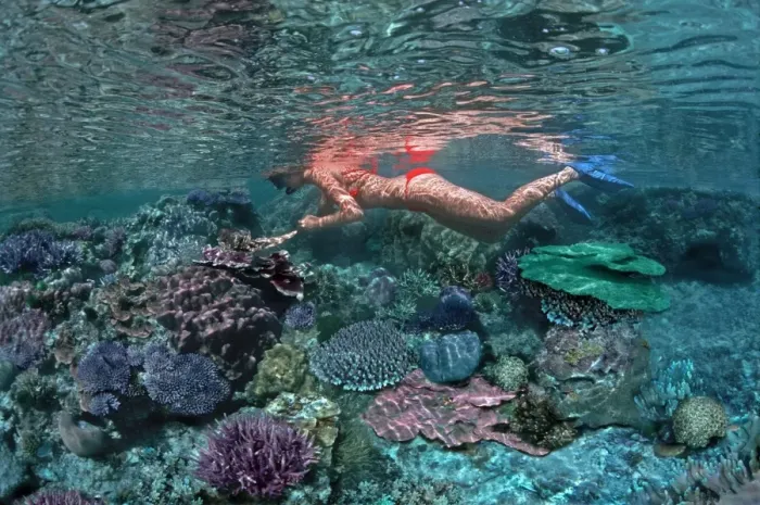 Framed Print : Coral pool - Girl snorkeling in a coral pool in reef around Heron Island Great Barrier Reef, Australia Framed Print : Coral pool - Girl snorkeling in a coral pool in reef around Heron Island Great Barrier Reef, Australia