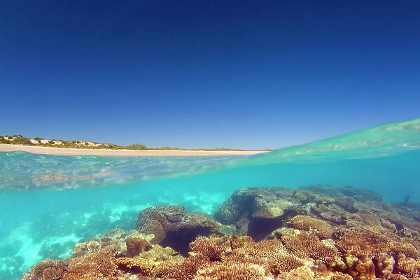 Coral reef and beach - over and under water shot of a coral reef and white, sandy beach - Ningaloo Marine Park, Western Australia, Australia