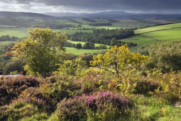 Framed Print : Corby Crags - view from crags in direction of Cheviot Hills - autumn - Northumberland National Park - England