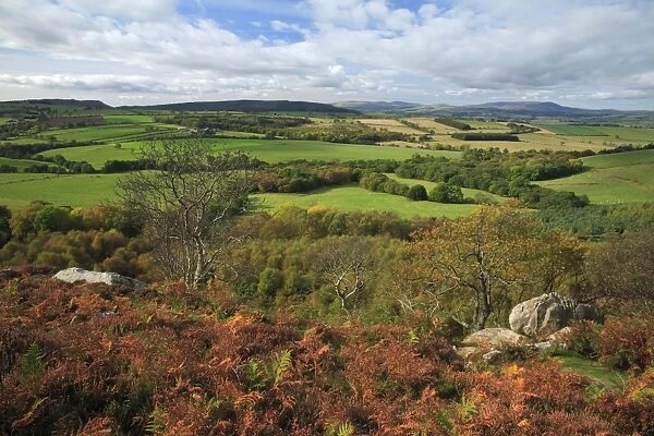 Corby Crags, view from crags looking north towards Cheviot Hills, Northumberland National Park, autumn, England