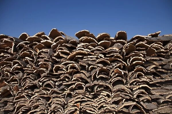 Cork Oak stacked in piles to dry