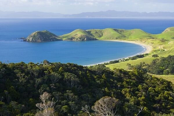 Coromandel Coastline bay of Port Jackson surrounded by green rolling hills and patches of native forest Port Jackson, Coromandel, North Island, New Zealand
