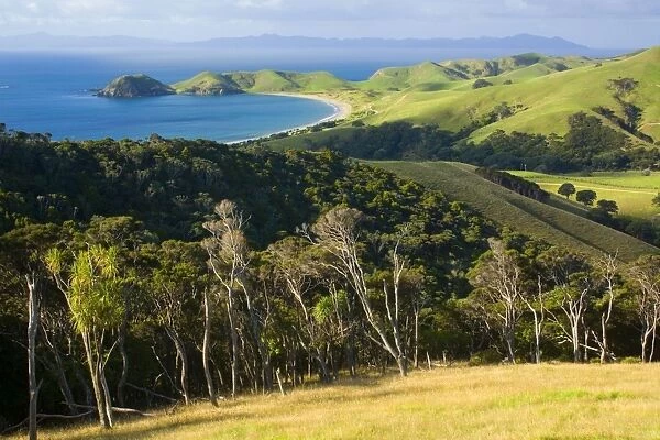 Coromandel Coastline bay of Port Jackson surrounded by green rolling hills and patches of native forest Port Jackson, Coromandel, North Island, New Zealand
