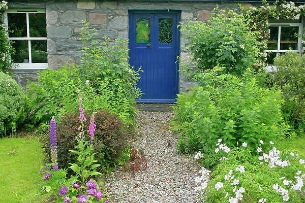 Cottage Garden in spring with path leading to front door Glencoe, Highlands, Scotland, UK