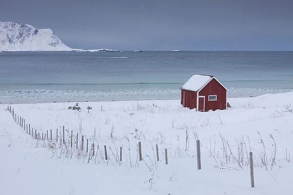 Cottage at snowy coast - Lofoten - Norway