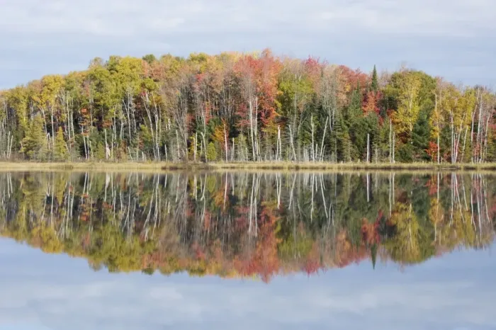 Framed Print : Council Lake with Autumn Colours of Maples Reflected Upper Penninsular Michigan, USA LA004448 Framed Print : Council Lake with Autumn Colours of Maples Reflected Upper Penninsular Michigan, USA LA004448