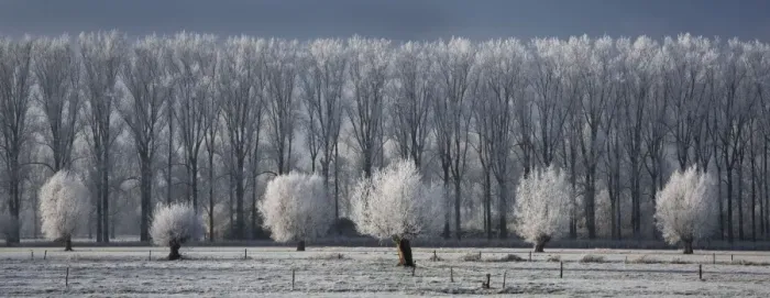 Framed Print : Countryside landscape in winter - Belgium