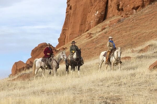 Cowboys  /  Cowgirls - riding on Quarter Horses