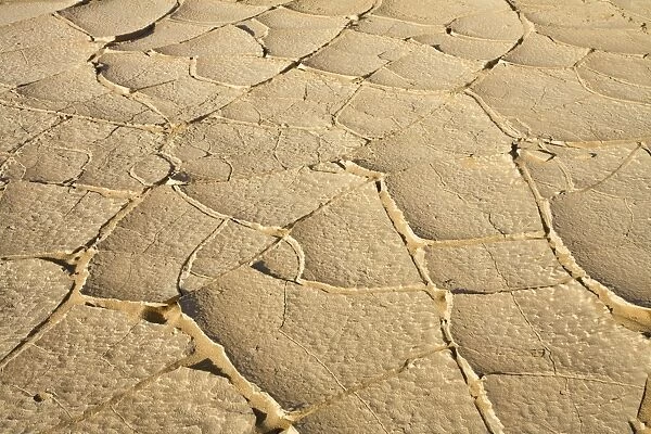 Cracked Caly in the Desert Namib Desert, Namibia, Africa
