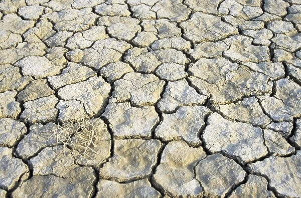 Cracked soil in a desert near Kum-Dag - summer - Turkmenistan - former CIS Tm31. 0153(1805)