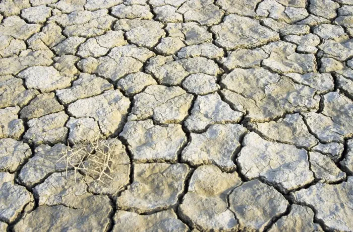 Framed Print : Cracked soil in a desert near Kum-Dag - summer - Turkmenistan - former CIS Tm31. 0153(1805)