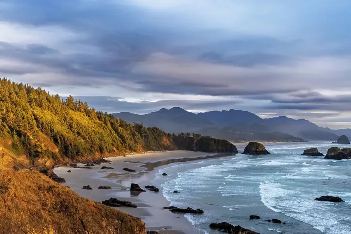 Framed Print : Crescent Beach at Ecola State Park in Cannon Beach, Oregon, USA Date: 08-10-2021 Framed Print : Crescent Beach at Ecola State Park in Cannon Beach, Oregon, USA Date: 08-10-2021