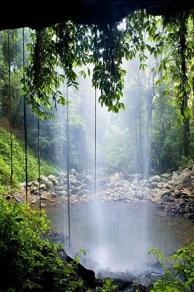 Crystal Shower Falls - very beautiful and enchanting waterfall located within lush subtropical rainforest. The water rushes over a densely overgrown cliff in a narrow gorge and one can walk behind the veil, which is quite unique