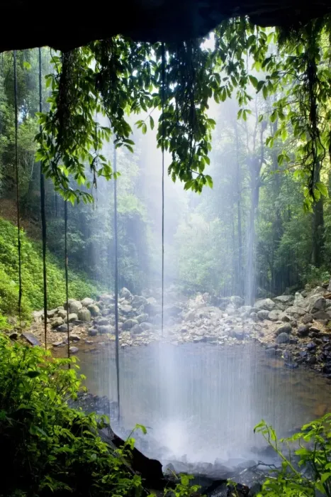 Framed Print : Crystal Shower Falls - very beautiful and enchanting waterfall located within lush subtropical rainforest. The water rushes over a densely overgrown cliff in a narrow gorge and one can walk behind the veil, which is quite unique Framed Print : Crystal Shower Falls - very beautiful and enchanting waterfall located within lush subtropical rainforest. The water rushes over a densely overgrown cliff in a narrow gorge and one can walk behind the veil, which is quite unique