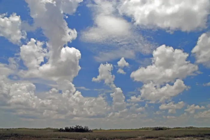 Framed Print : Cumulus clouds developing over Shark Valley, Everglades National Park, Florida, USA Framed Print : Cumulus clouds developing over Shark Valley, Everglades National Park, Florida, USA