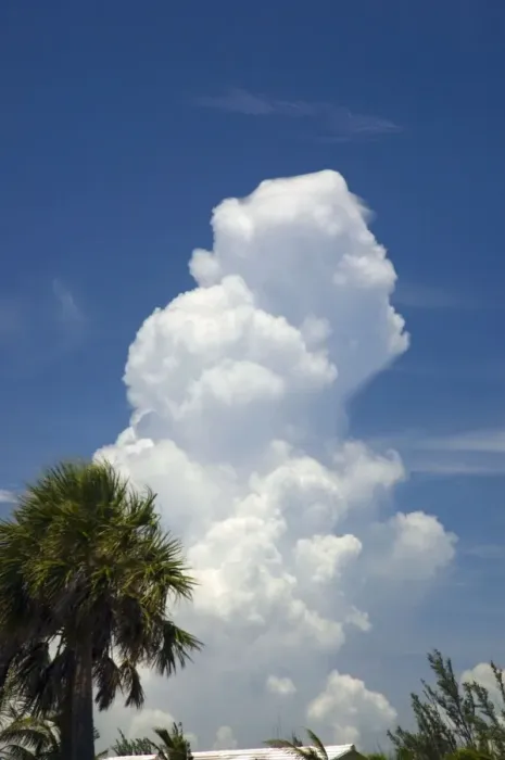 Framed Print : Cumulus storm cloud developing over ocean. Grand Bahama Island, Bahamas