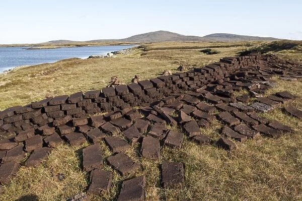 Cut peat - left to dry for domestic fires - North Uist - Outer Hebrides - Scotland
