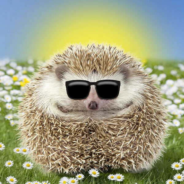 Cute Hedgehog wearing Easter sunglasses in spring