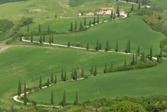 Framed Print : Cypress avenue zigzag road leading to a farm on top of a hill Tuscany, Italy Framed Print : Cypress avenue zigzag road leading to a farm on top of a hill Tuscany, Italy