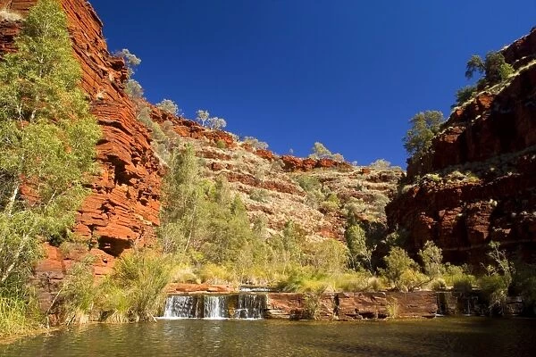 Dales Gorge - stream flows down Dales Gorge over a number of picturesque cascades into pools, surrounded by gum trees and vegetation. Red, terraced cliffs weathered by centuries of exposure, rise up to the river's sides - Dales Gorge