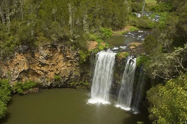 Dangar Falls - beautiful waterfall on the New England Plateau - Dorrigo, New South Wales, Australia