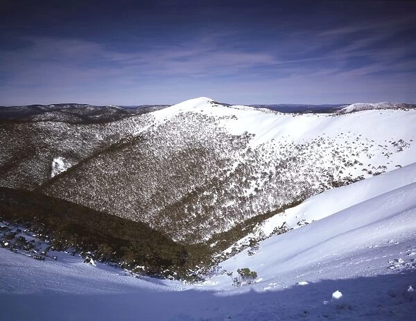 Dargo High Plain (Mt Hotham snowfield) Alpine National Park - Victoria - Australia JLR05217